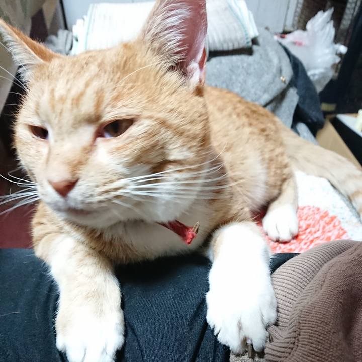 6ed267a7 6574 4796 8d2f 7522f439e1fa 1573869692151