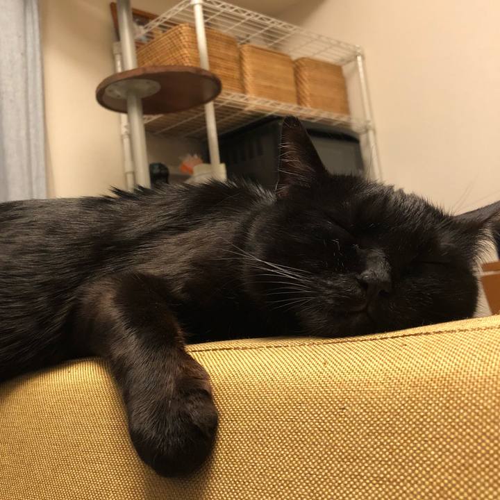 6ed2aebd e4c2 4a36 8515 0c85fd34776b 1520167256779