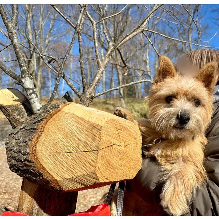 6ed2c555 2d5e 4466 b5ce e1dffb79536a 1732978523545