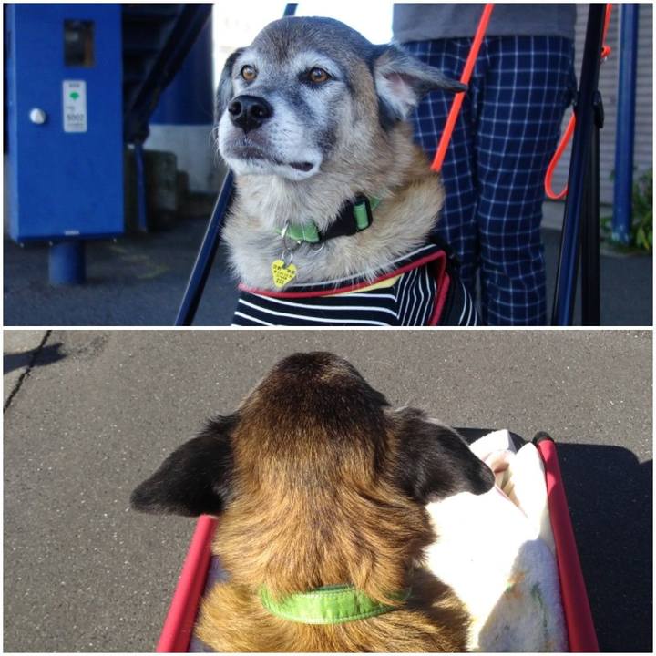 6ed2c697 8ae0 4f9f 8bae 8dcece56281d 1570925480641