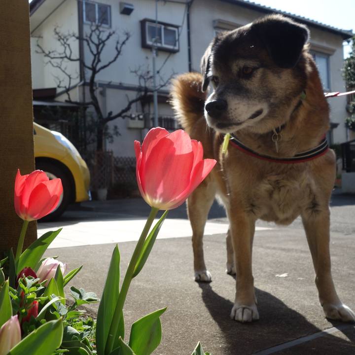 6ed2ee41 5db5 4baa ae54 167644337c7d 1553648265432