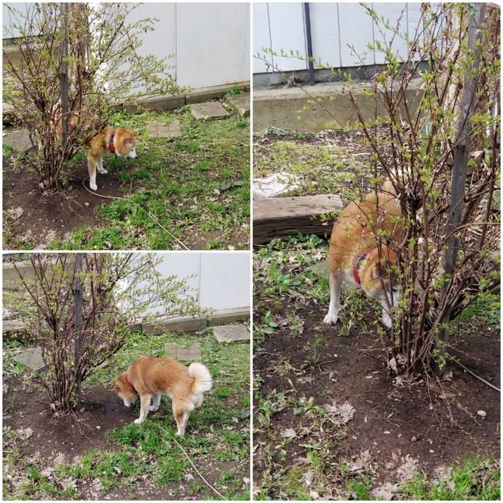 6ed31eb6 9dd8 47e2 adf4 819c78a59baa 1744760042458