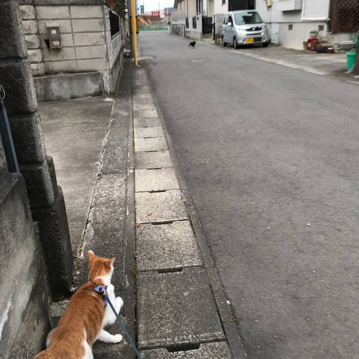 6ed337b4 f8fb 456f 8195 2f49dad060c9 1510987589723