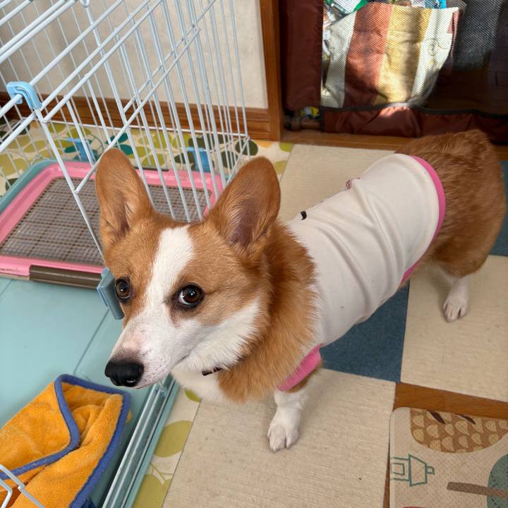 6ed3cab7 2bf8 4af6 97f6 427c8dcb9242 1772604661122