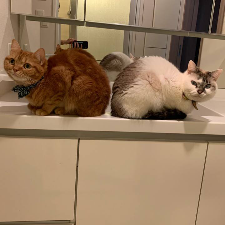 6ed3d507 8297 48a2 a3c0 b6e718f8a758 1572780481999