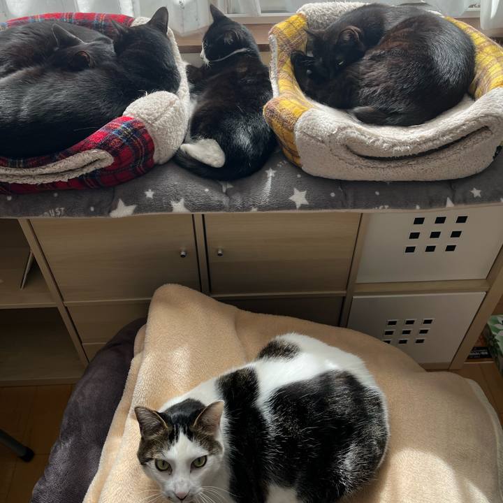 6ed3ef78 adf3 41c4 9236 036371d22f17 1709439701269