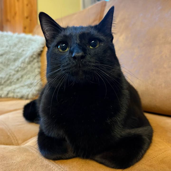 6ed3f057 90a6 4aed b53e a07ebfe4e81b 1775601406402