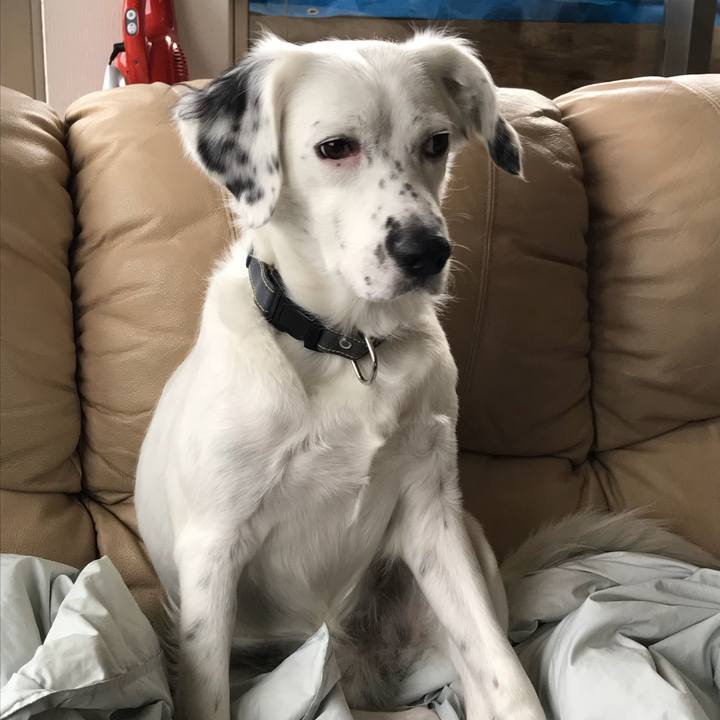 6ed40505 beed 4a21 9c02 72b56fac81f5 1539689131252