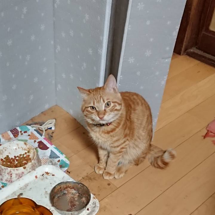 6ed44cb9 618a 4699 8daf 5f2b14303067 1643622866426