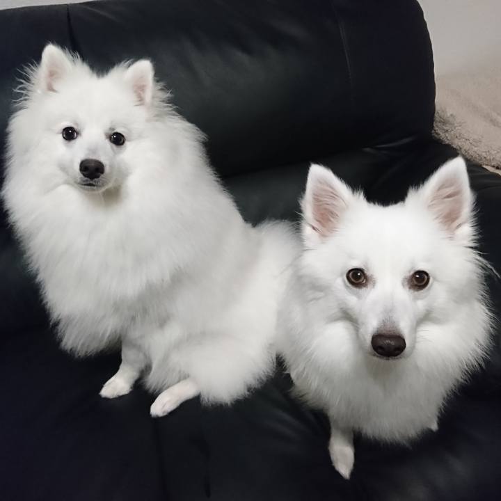 6ed456bb 181f 42c3 8a4f 7c66c9b5350f 1563459692867