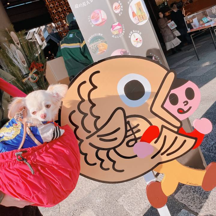 6ed46623 4878 4da2 925f 22a9f8e536d0 1672563199964