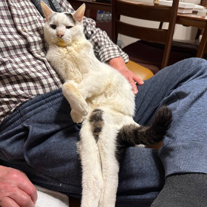 6ed49d52 4da7 44db 8957 4cd6d1fe9c37 1771327912991