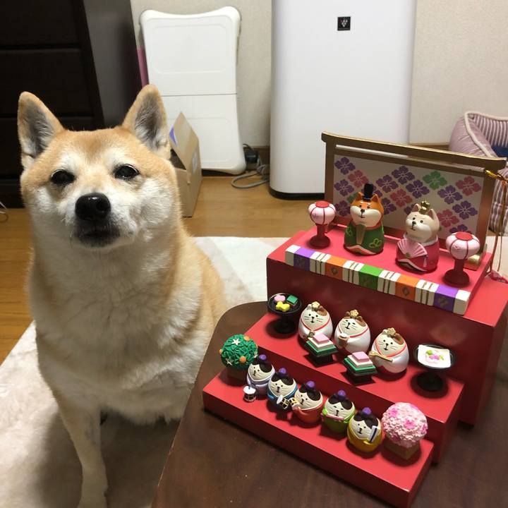 6ed4a32e 16f5 4582 aa8c 4a4fa9a153b8 1548853163525