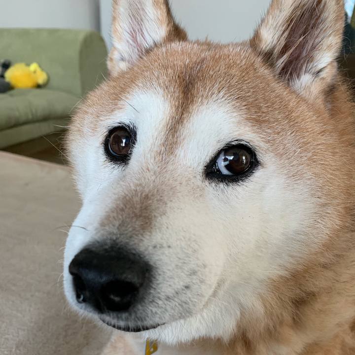 6ed4a8f3 3909 47d3 b6e0 678fe904cec4 1567828260016