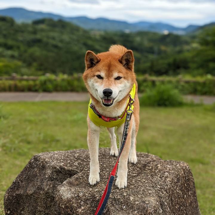 6ed4c369 7003 465d 8723 f1ab287b40d8 1716824566274