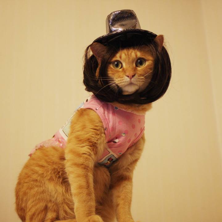 6ed4c817 23d8 46f4 b380 24deb09398f4 1723104225450