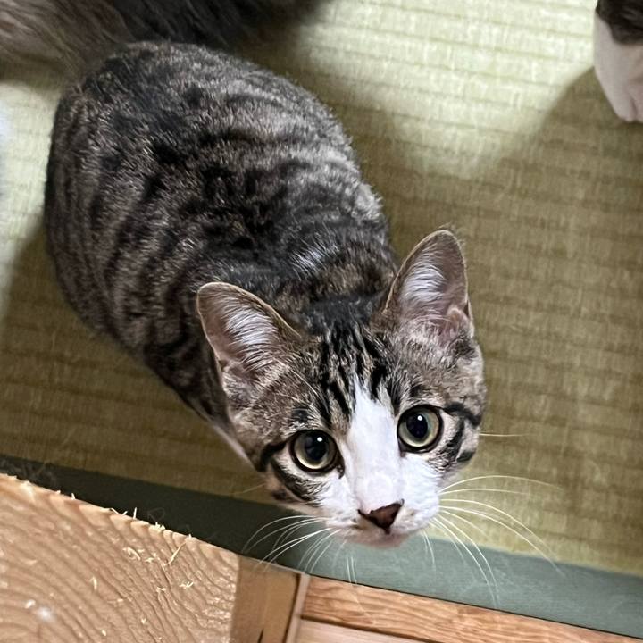 6ed4ee78 c358 417a 8d19 322dfaaf21a2 1773052301717