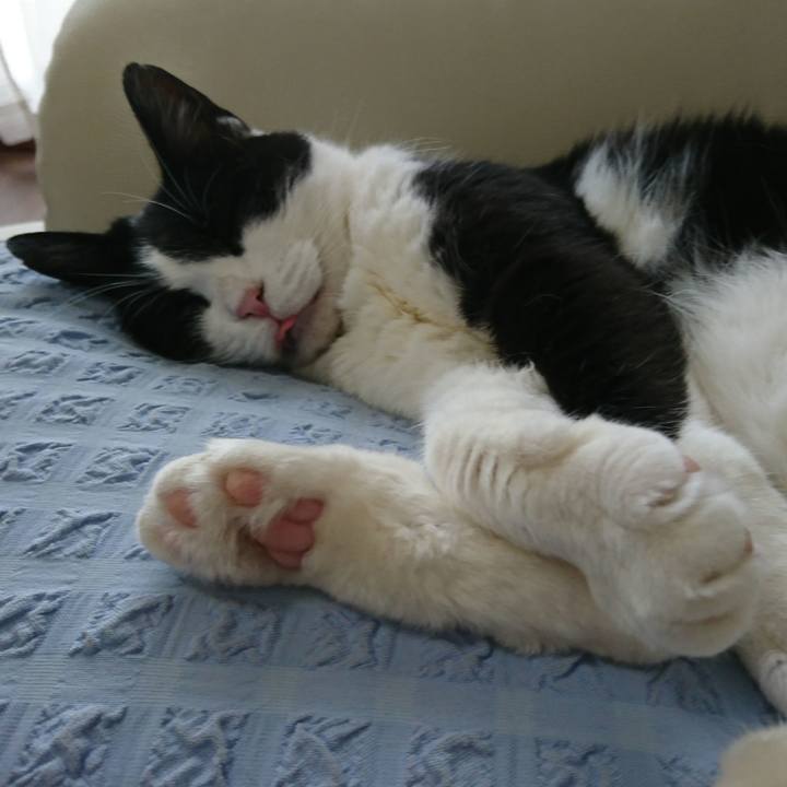 6ed51a25 2216 4049 81ce 9490d4735f45 1593594089985