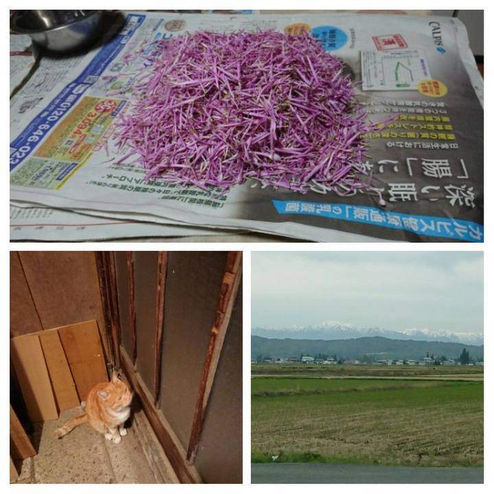 6ed56489 4581 4c56 8017 3b114a4bf767 1604219351799