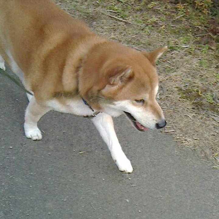 6ed59ab5 10b6 4df7 b59c dec47c05d383 1547712787660