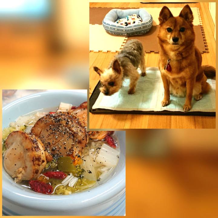 6ed5e1a4 5d2e 4385 8f35 5dd7544a3776 1621860295567