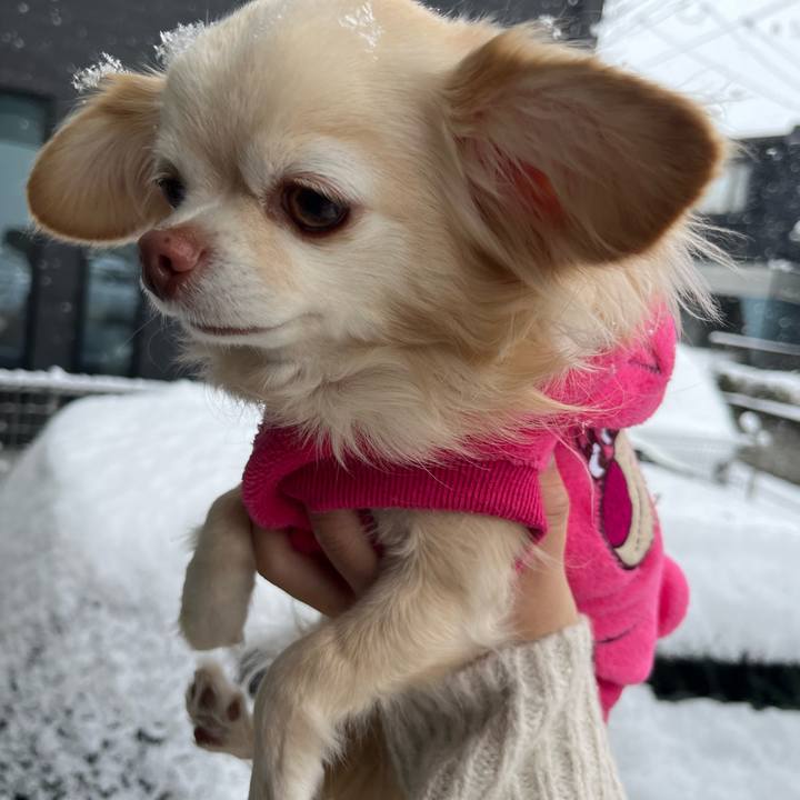 6ed62d86 d6e7 4fe9 9015 4be0ebb544b3 1770511782699