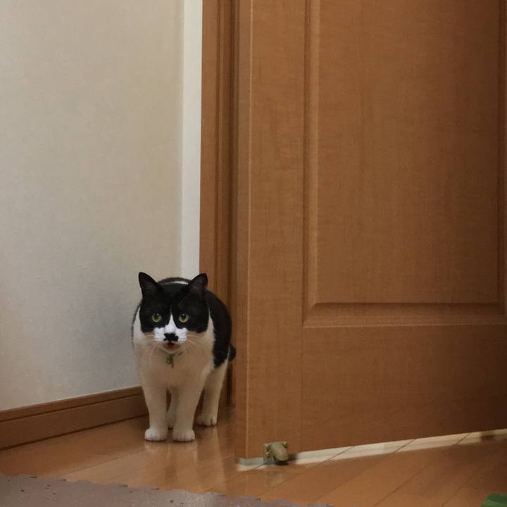 6ed6b2ab 4ec8 4900 981d c4b01f68516a 1508516378995