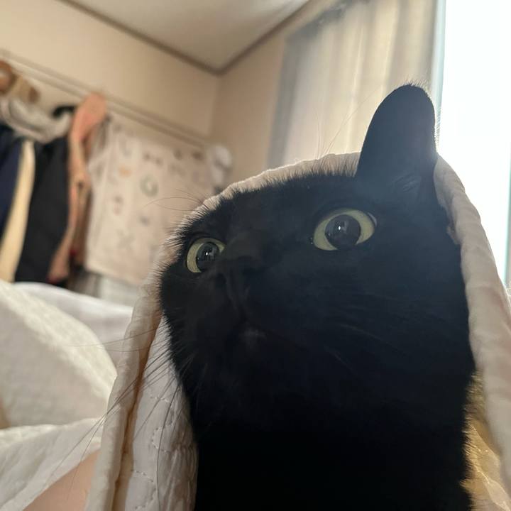 6ed6eb40 b314 45b0 b08b 823d46b21450 1747355560825