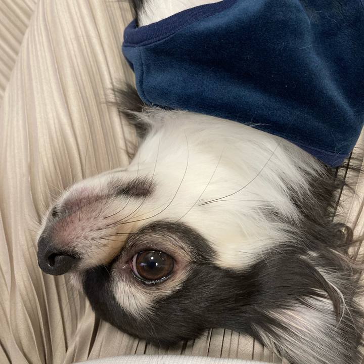 6ed6f782 2a23 4e7f 900c 4de40e25667c 1642945382587