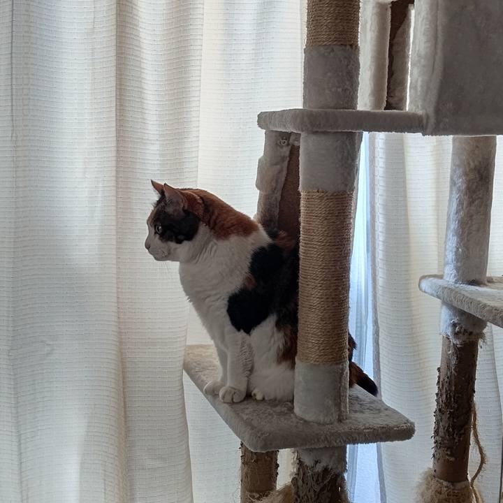 6ed6f912 dcd3 477a ae7d 834f9a6ac5fe 1645403950717