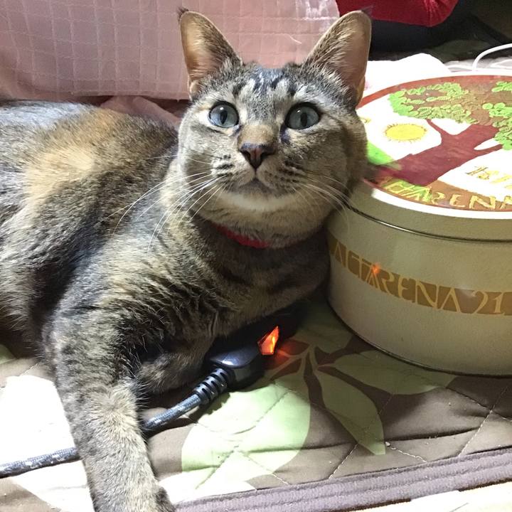 6ed7a19c 37df 484a b34c d09be88d09e8 1673170917423