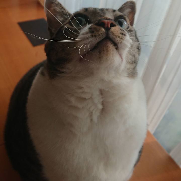 6ed7a3eb 2fd6 4e5f 8997 4abc6dd951fc 1573511570998