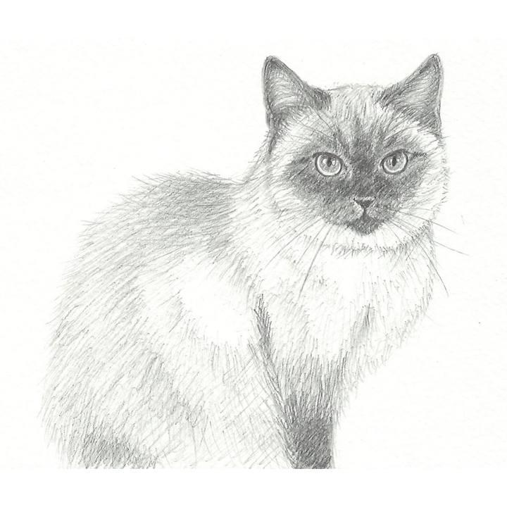 6ed7a6d8 05c6 40bf 997f 410d6da6544f 1536470455589