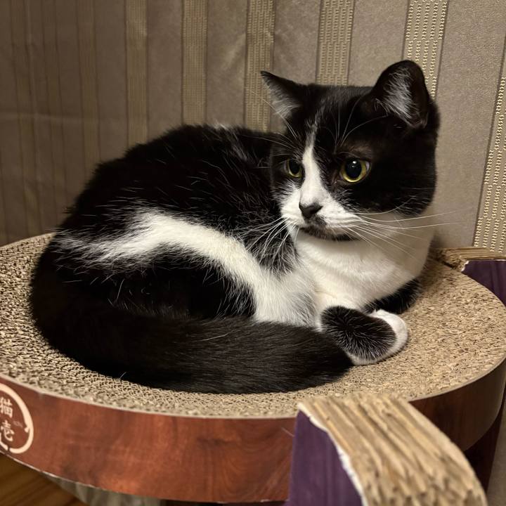 6ed807c0 27cd 4fad 91a4 9300c028b4be 1768737084807