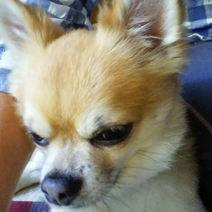 6ed833e1 3ffe 42d5 b074 5e47d6a16d9a 1528756960013