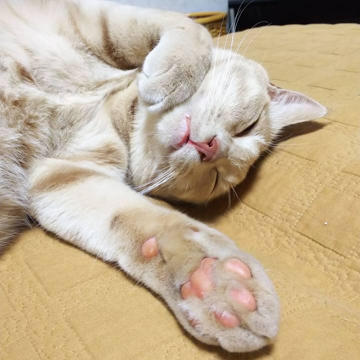 6ed83457 bbcb 498e 8670 cde36c8a5dec 1566736291035