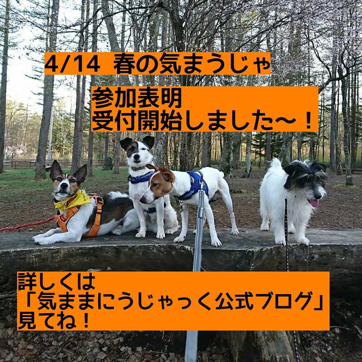 6ed84a36 4dfe 47aa b417 467db8a876a5 1550064601791