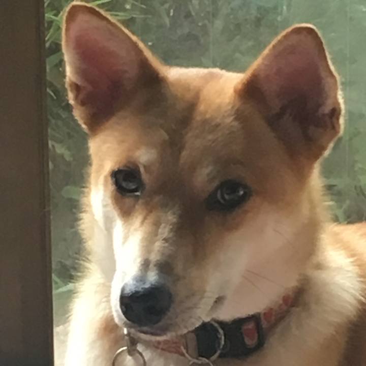 6ed8d10a 82de 4dfb b961 1ac10bf033b2 1533366130106