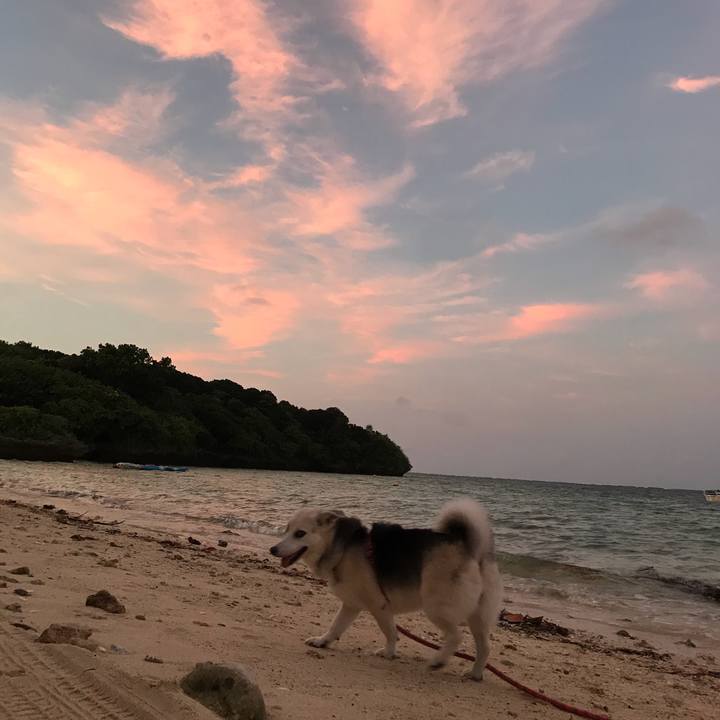 6ed8e7b2 0e7f 447c b781 63ca43eb2de6 1599309990824