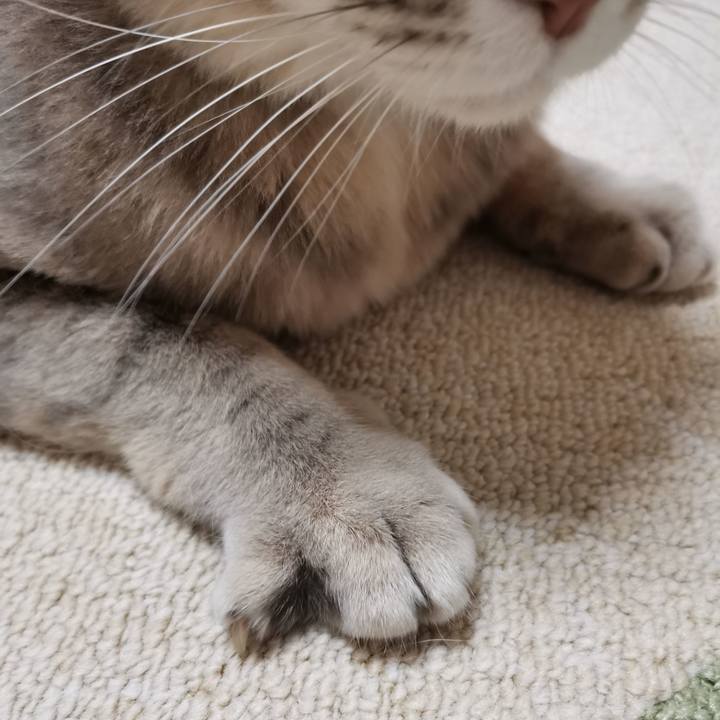 6ed9270f 9177 4a92 8202 e072ac538c6b 1610633986384