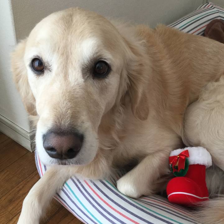 6ed9280c 3e69 4524 9946 c93caec9f4f7 1514088012130