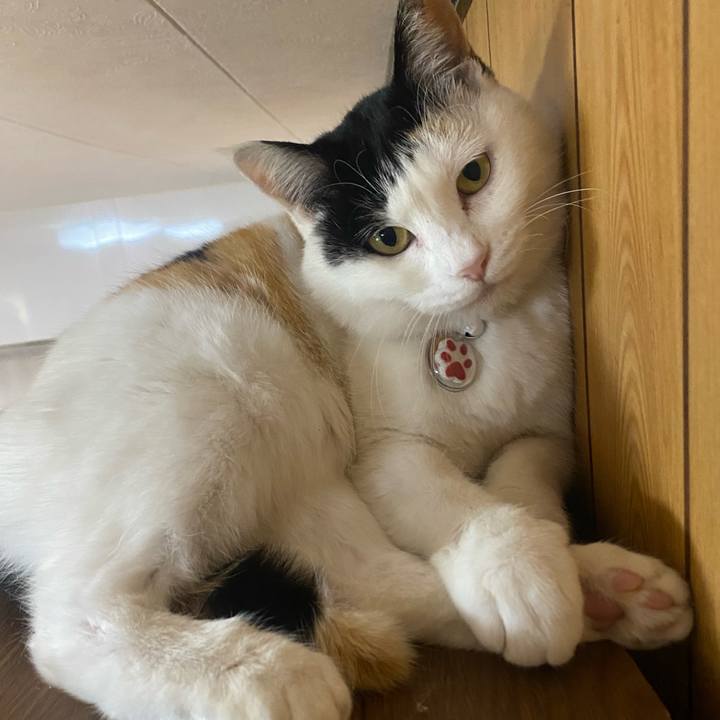 6ed928d3 0b63 4f10 af95 28aea578f522 1645696628710