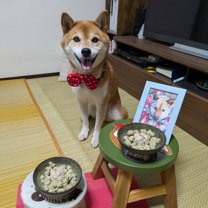 6ed9608f ecf6 423f 83c8 2be6709998af 1756629514314