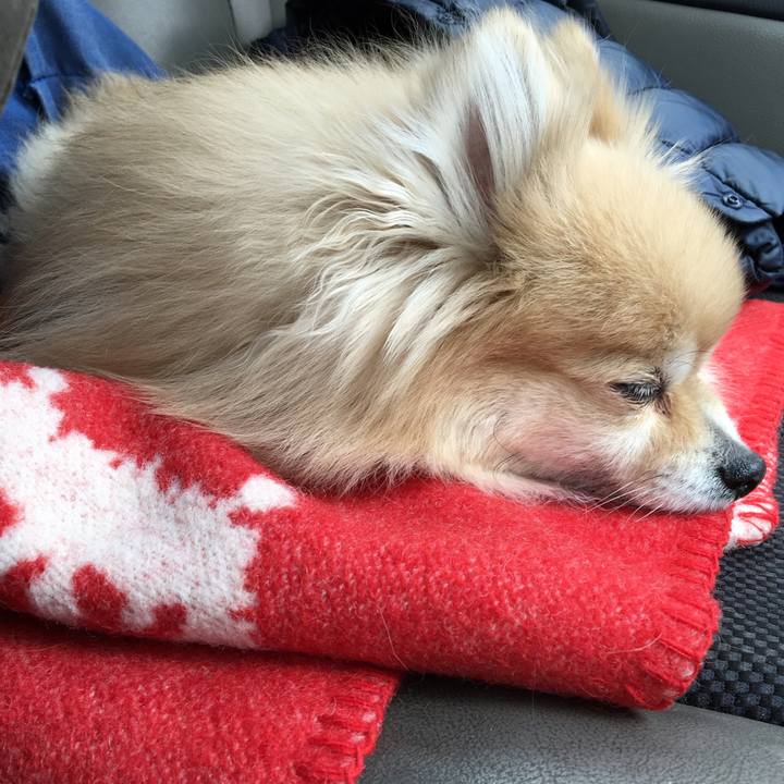 6ed96589 28cd 4665 96ab 4f0b81ad676b 1554888635709