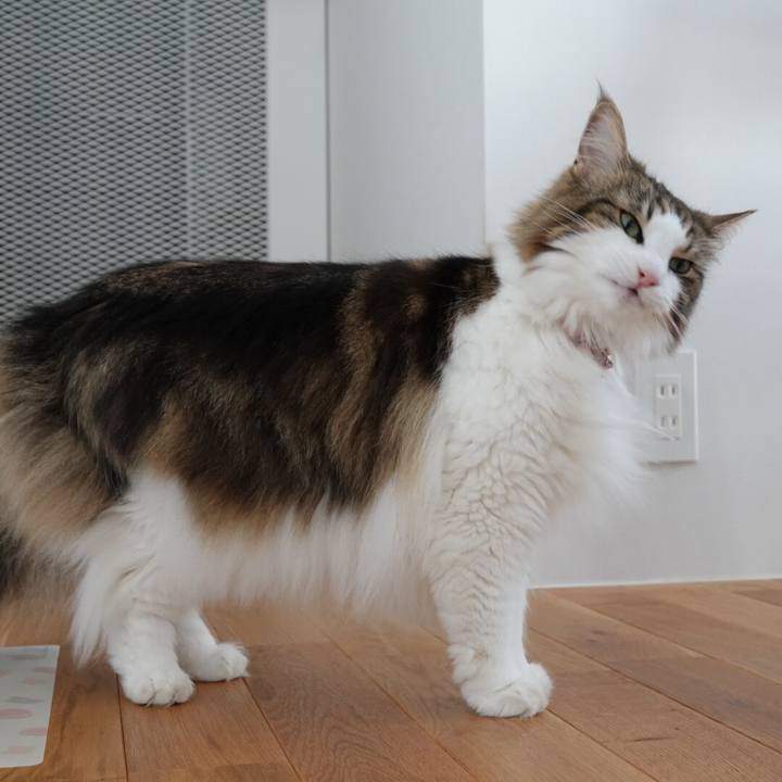 6ed981bc c801 479d a9b7 36c9bd00bb17 1568105898101