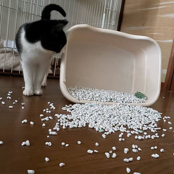 6ed98cce db7d 43fe aca7 0939c2278695 1679441885522