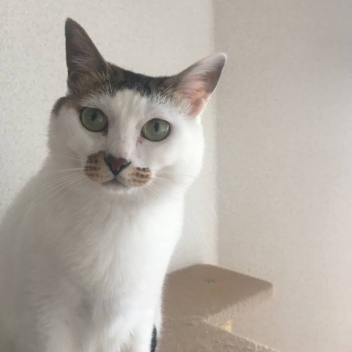 6ed9b220 e5df 47cf 93d1 98bf8ed09e2e 1593006548685