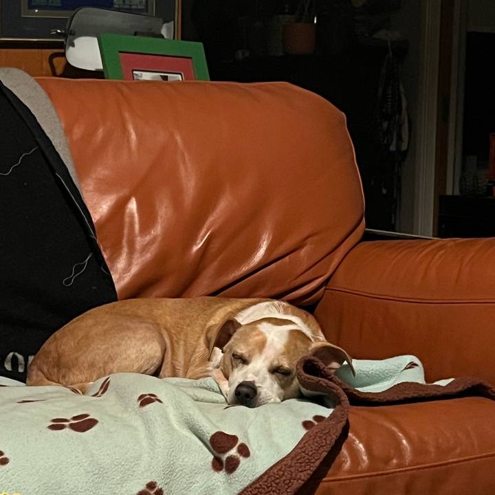 6eda194e 208a 4aa8 8223 e943ef565db5 1759718657308