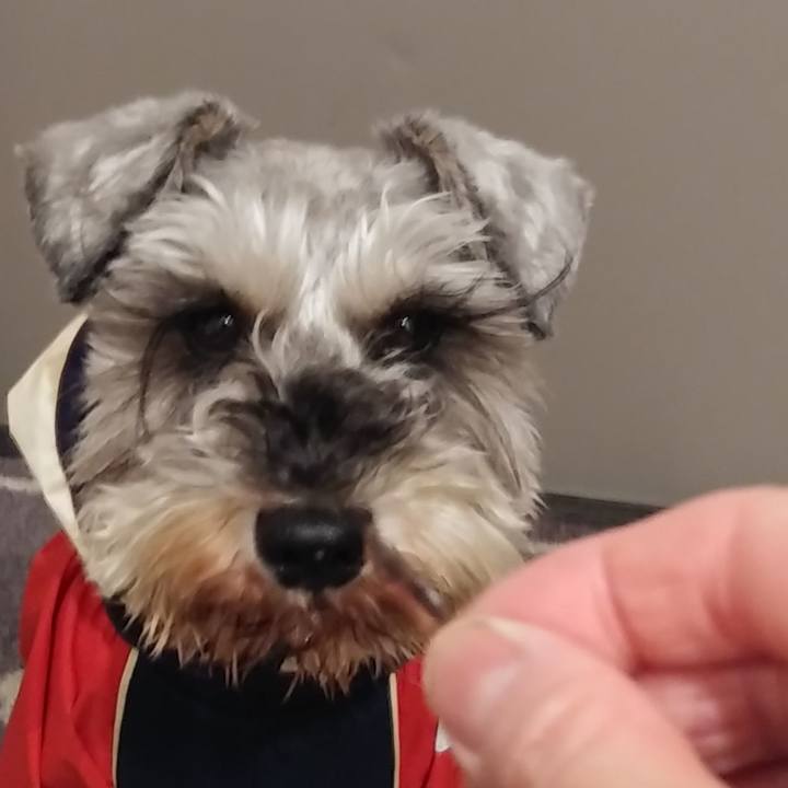 6eda4400 96b8 4476 a295 07047eb8a2ae 1614637628013