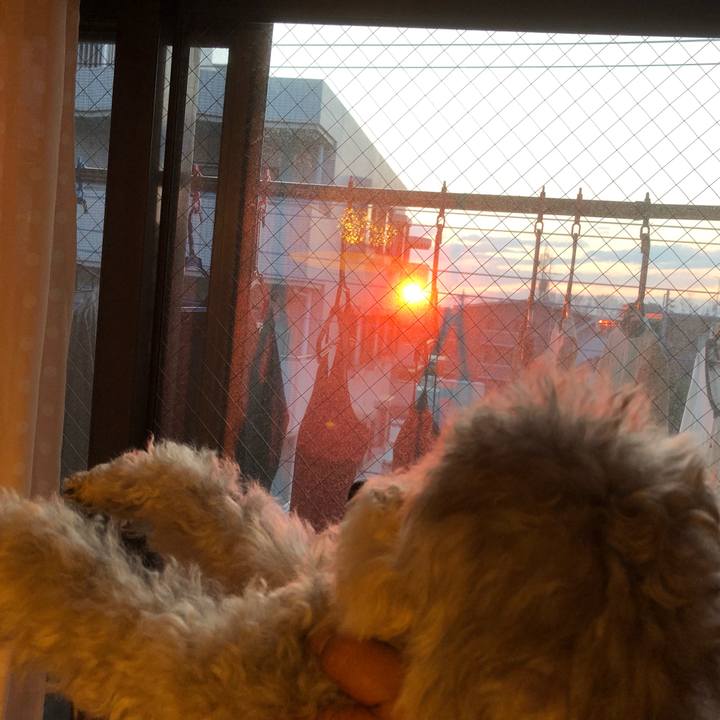 6eda4b0e aeb2 412a b8d6 bd831a23ac82 1552863849121